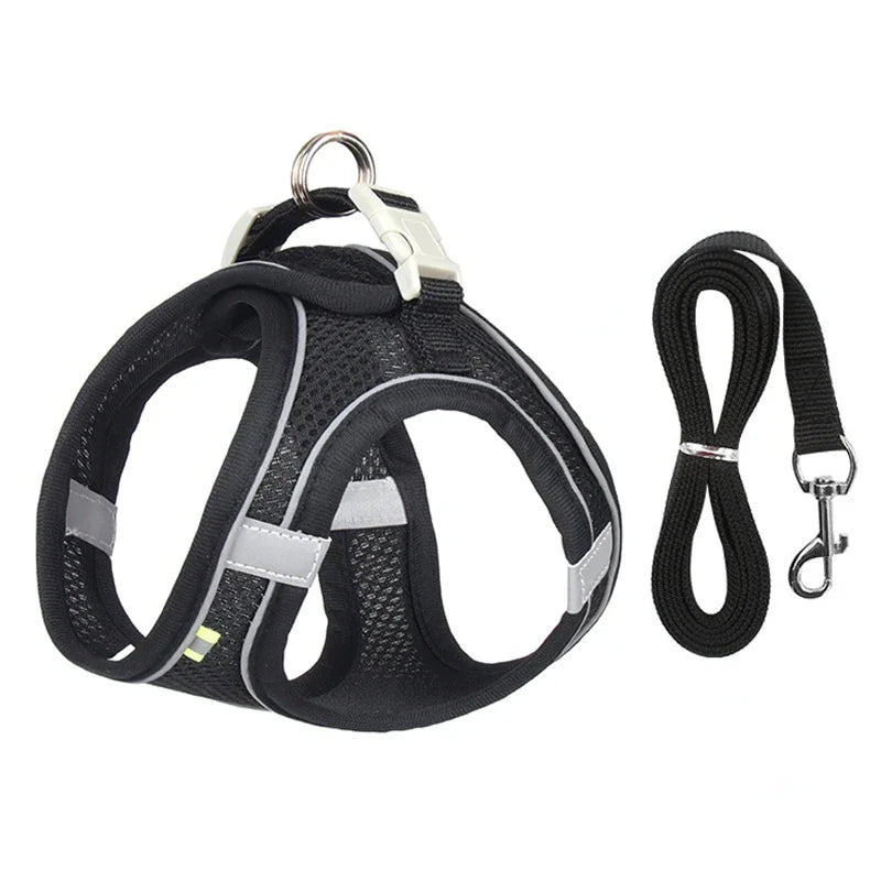 Ensemble Accessoires Réglables pour Chiots et Chats - Bouledogue, Chihuahua