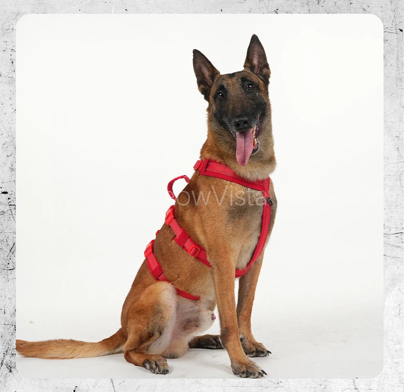 Harnais Robuste Rembourré Anti-Traction pour Chien Moyen/Grand