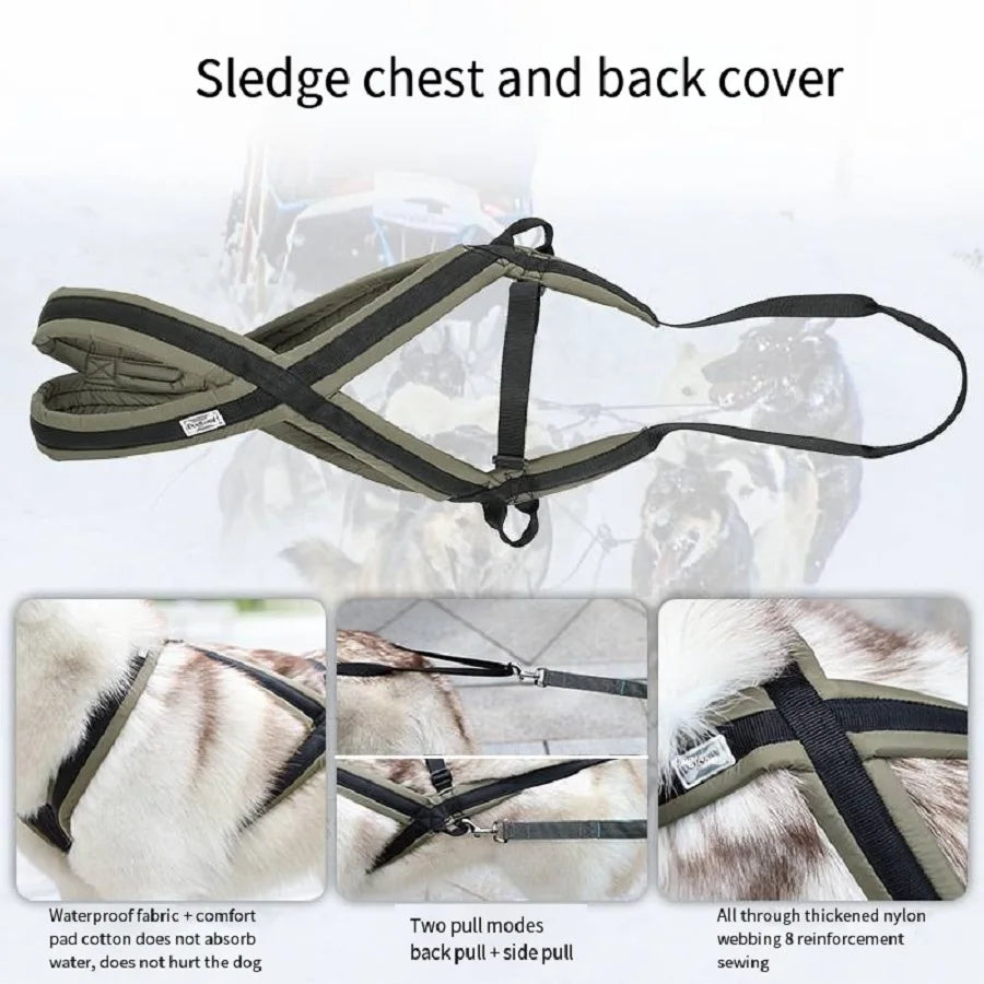 Ensemble Harnais et Laisse Extérieur pour Chien Moyen/Grand