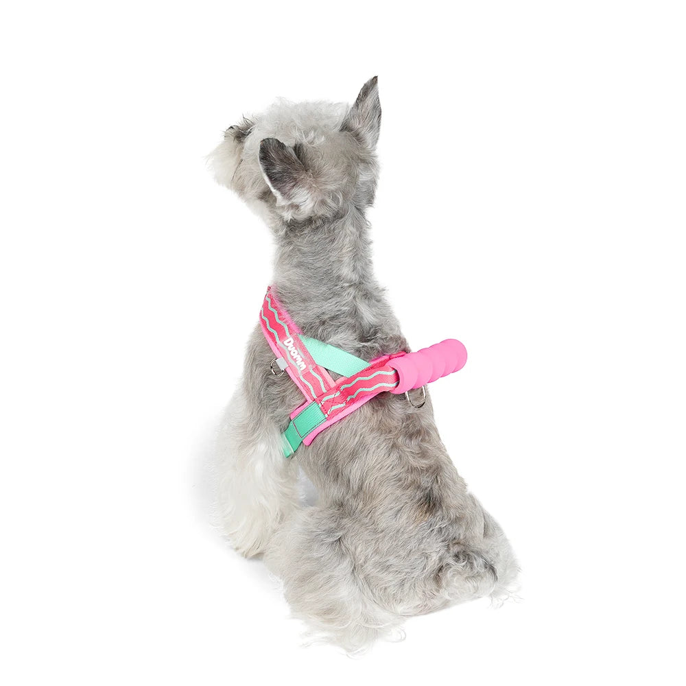 Harnais à Enfiler Rembourré pour Petit Chien - Poignée Douce