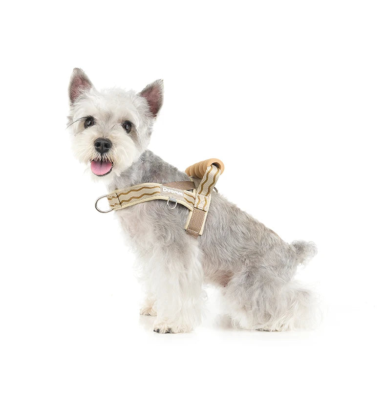 Harnais à Enfiler Rembourré pour Petit Chien - Poignée Douce