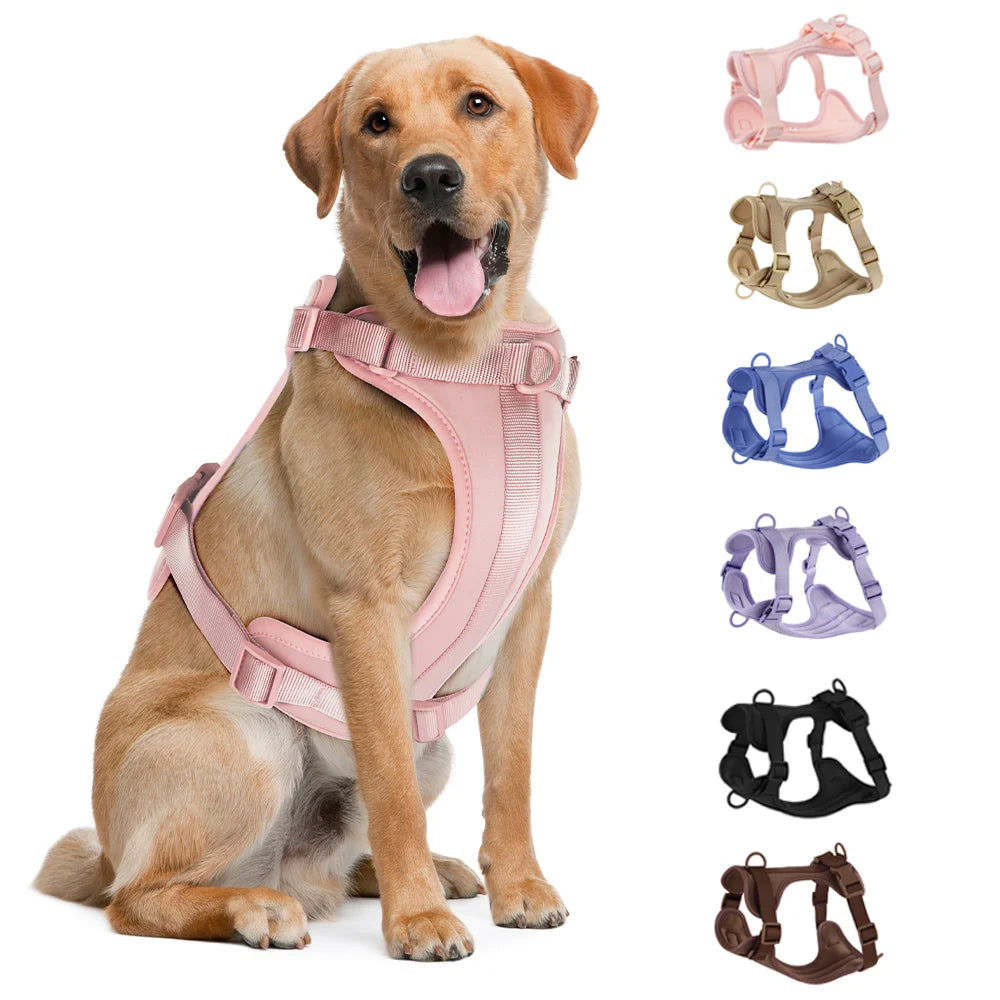 Harnais et Laisse Double en PVC pour Chien - Confortable, Respirant