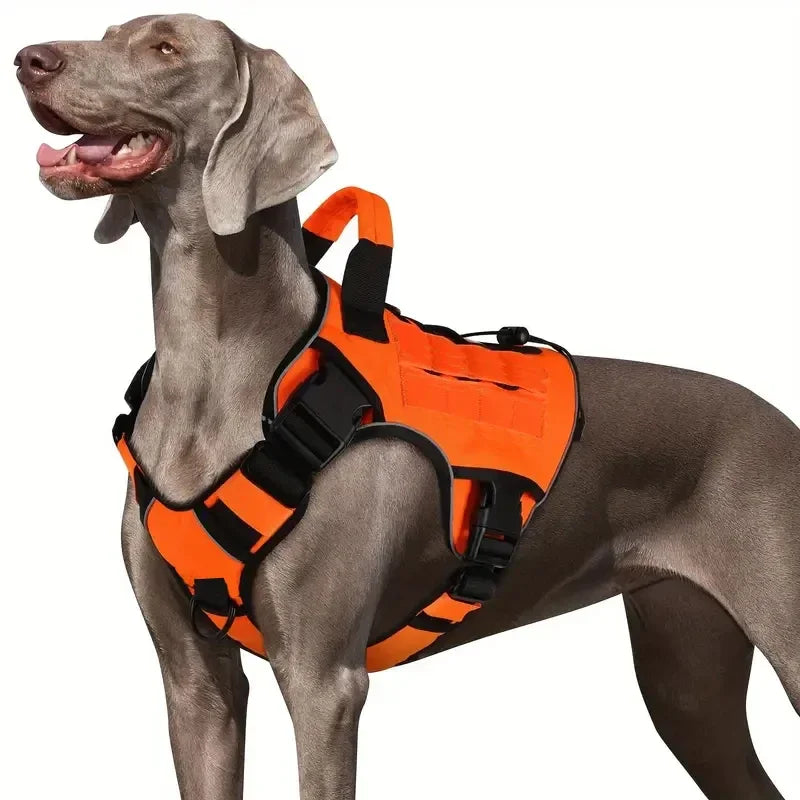 Harnais Tactique Militaire Sans Traction pour Labrador et Grand Chien