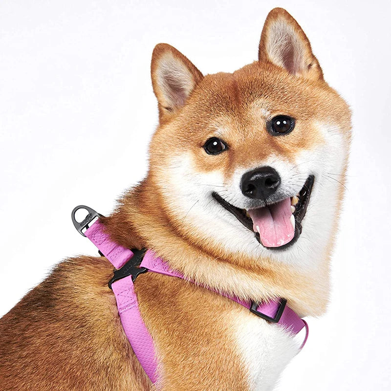 Harnais Réglable Étanche pour Chien - Sans Traction, Toutes Tailles