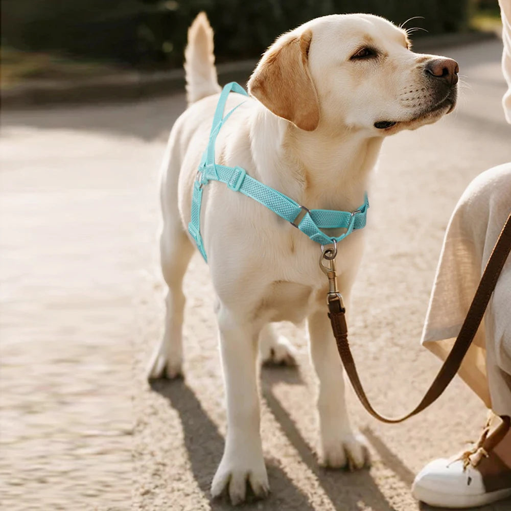 Harnais Coloré Anti-Traction pour Grand Chien - Poignée