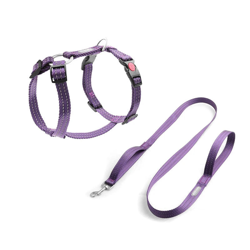 Harnais Anti-Évasion Type H pour Chien - Lavable, Réglable