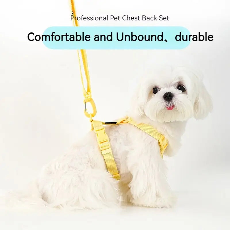Harnais Anti-Traction Confortable pour Chien - Sangle Réglable