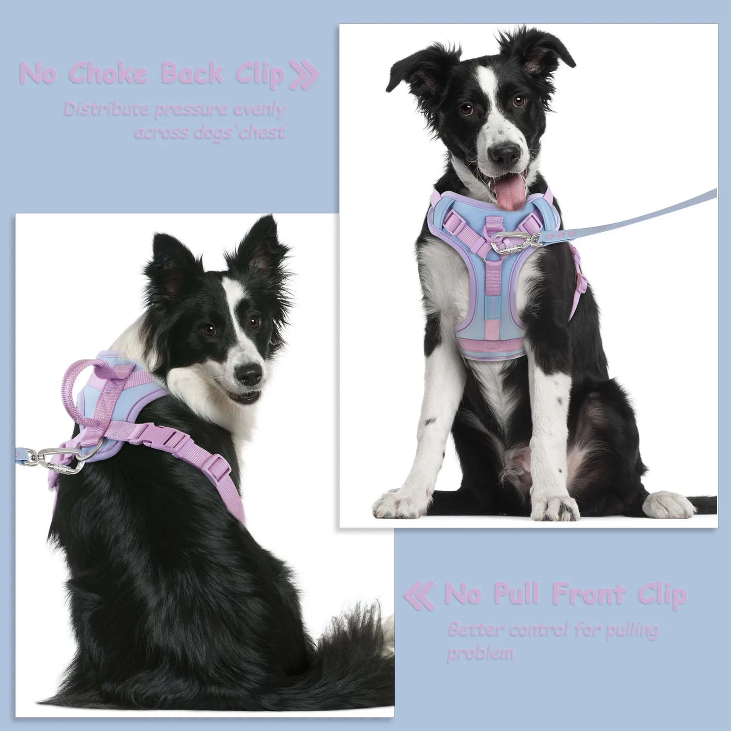 Harnais de Luxe Moyen Anti-Traction pour Chien - Personnalisé