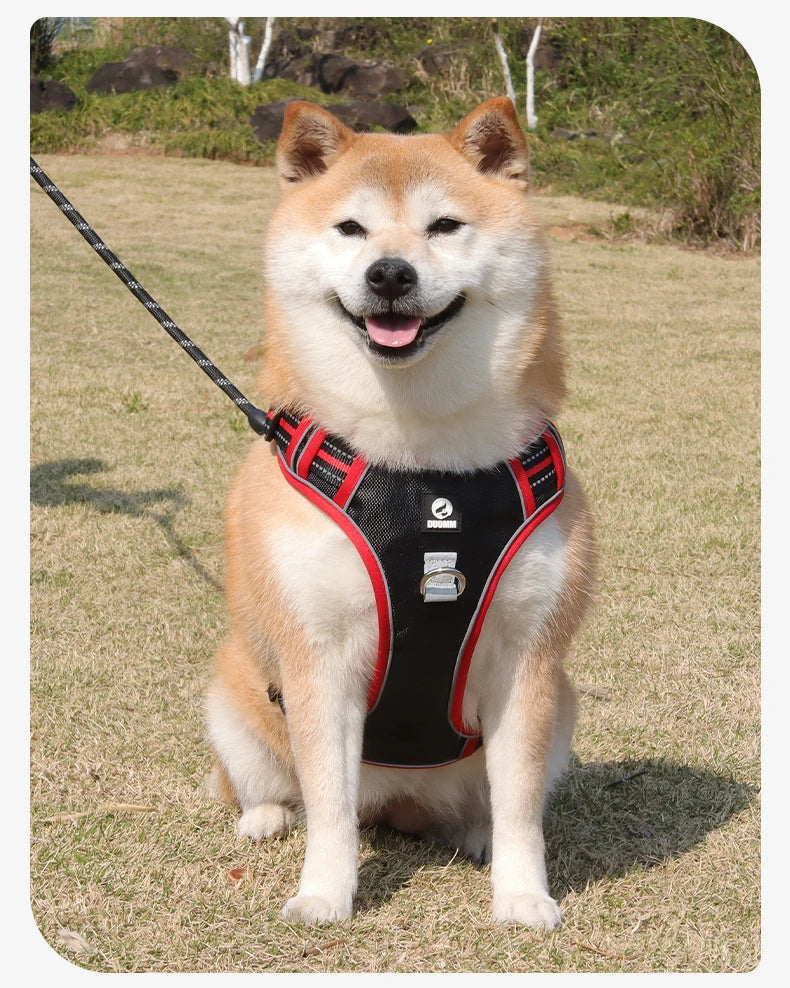 Harnais Oxford Anti-Évasion Réfléchissant pour Grand Chien - avec Collier