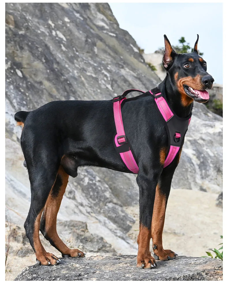 Harnais Rembourré Sans Étranglement pour Petit et Grand Chien