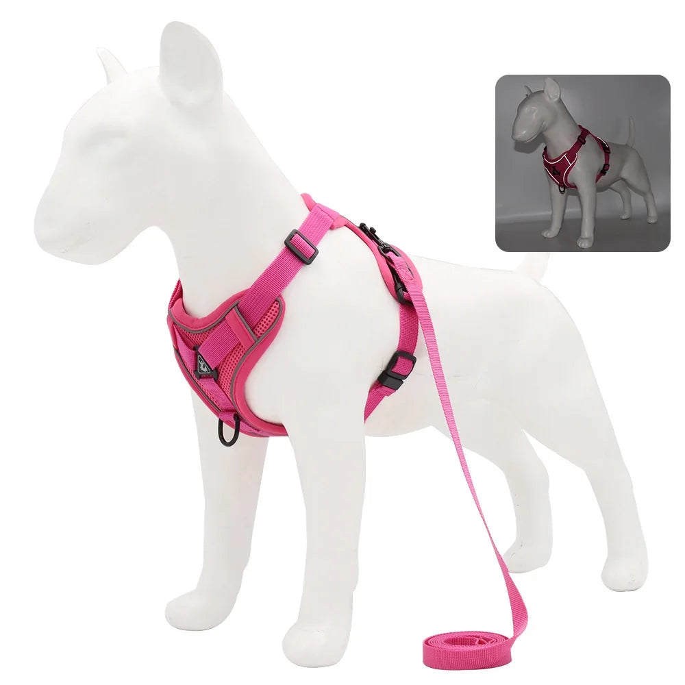 Ensemble Harnais et Laisse pour Petit Chien - Bouledogue, Carlin, Chiot