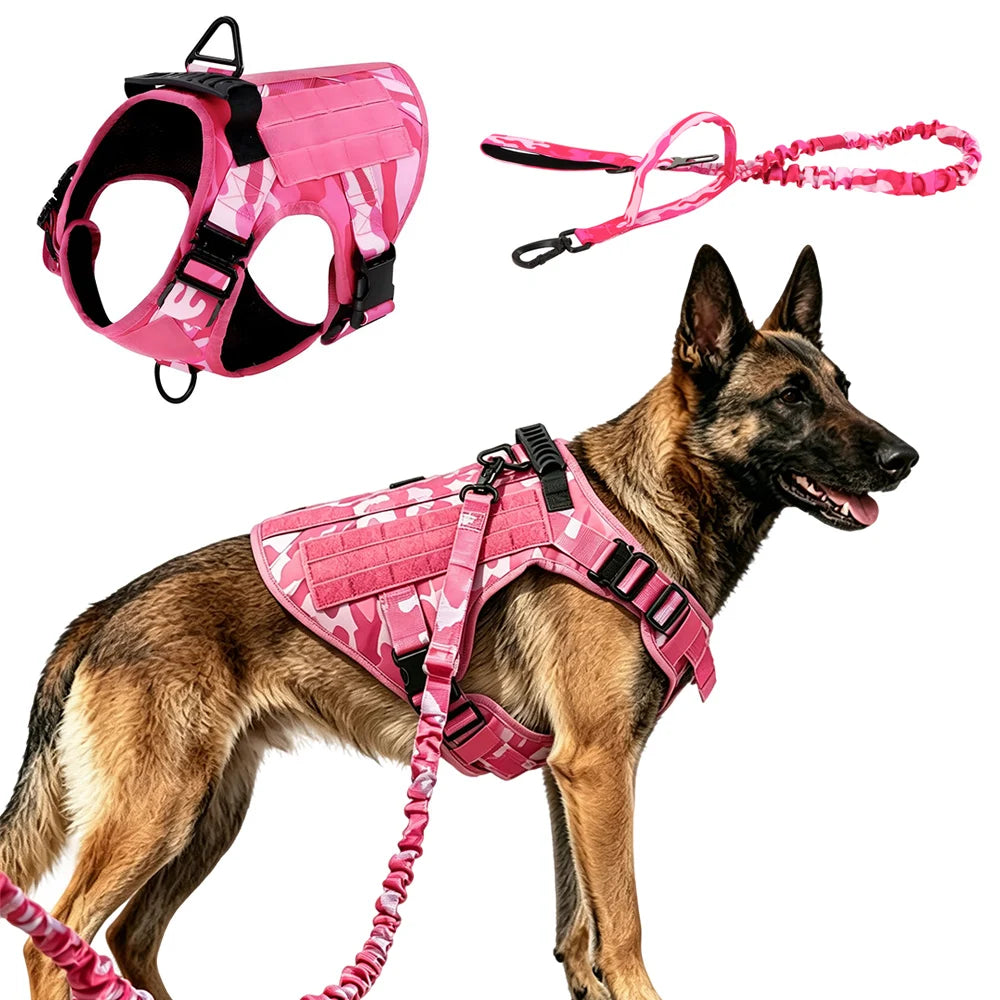Ensemble Harnais et Laisse Tactique Militaire pour Chien - Anti-Traction