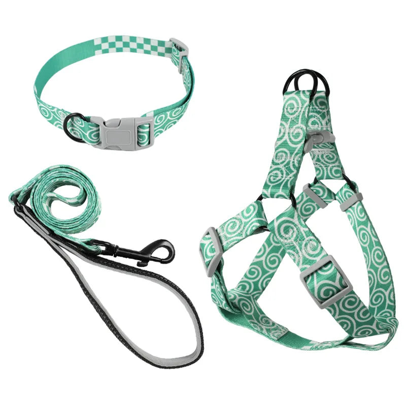 Ensemble Trois Pièces Abstrait pour Chien - Harnais, Laisse, Collier