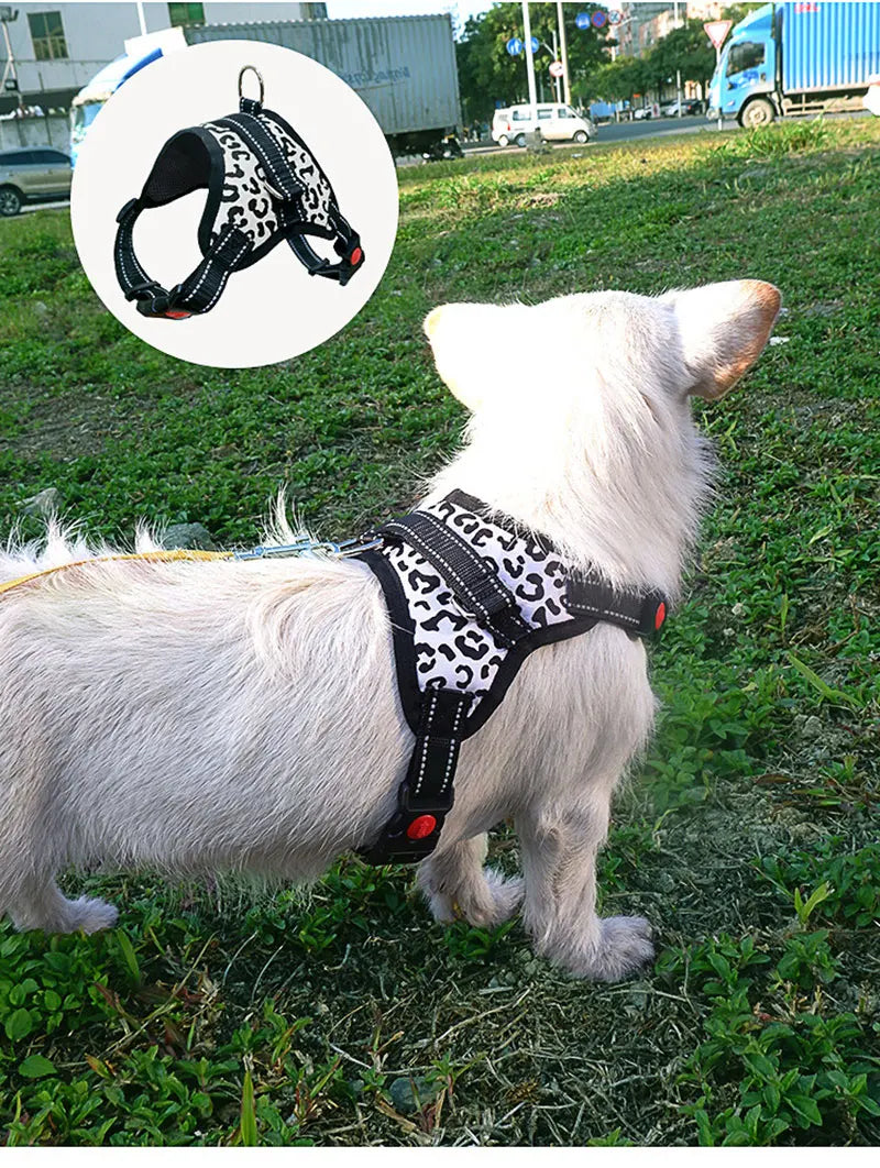 Harnais Nylon Robuste pour Chien - Réglable, Extra Large