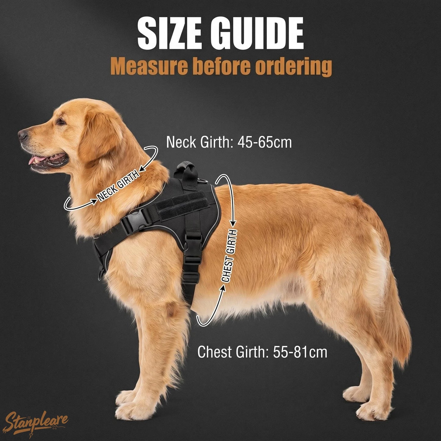 Harnais Tactique MOLLE en Nylon Robuste pour Grand Chien