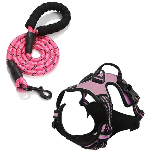 Ensemble Collier, Harnais et Laisse Réfléchissants pour Grand Chien