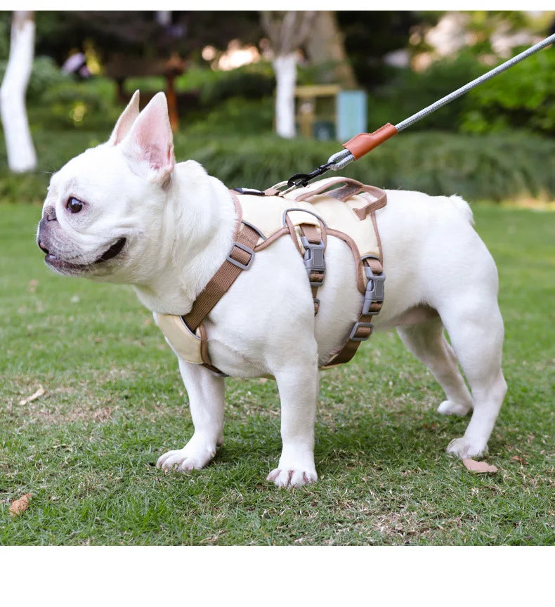 Harnais Anti-Évasion 3 Sections pour Grand Chien - Style Gilet