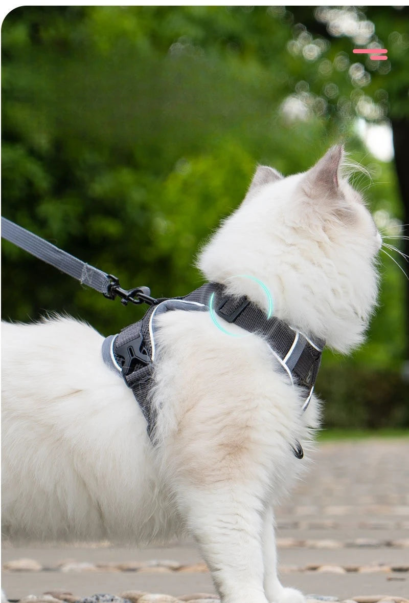 Ensemble Harnais et Laisse Sans Traction pour Petit Chien et Chat