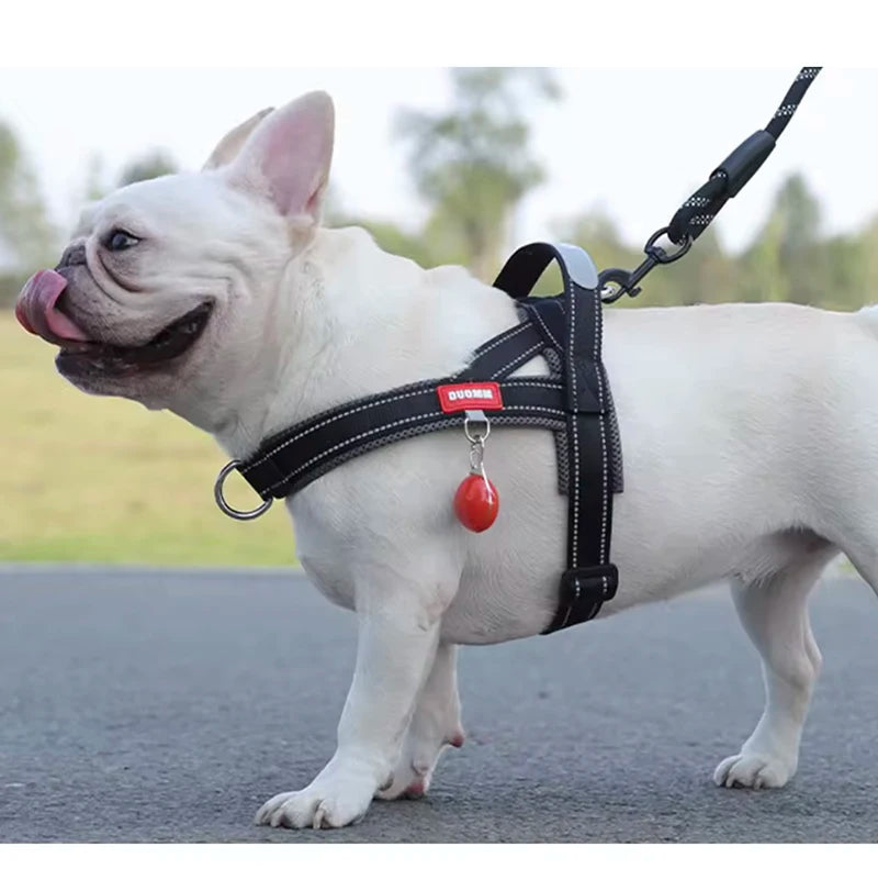 Harnais à la Mode Style Selle pour Chien - Toutes Tailles