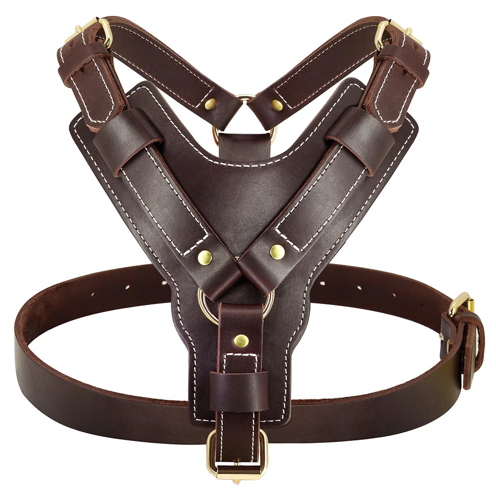 Harnais en Cuir Véritable pour Grand Chien - Poignée Réglable