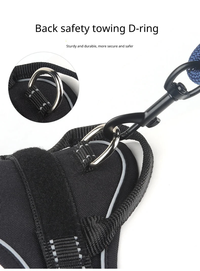 Harnais Type Veste pour Chien - Toutes Races, Résistant aux Chocs
