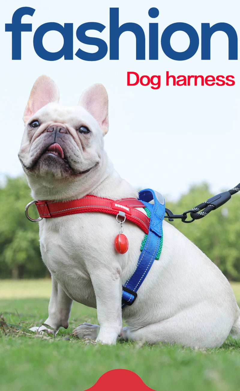 Harnais à la Mode Style Selle pour Chien - Toutes Tailles
