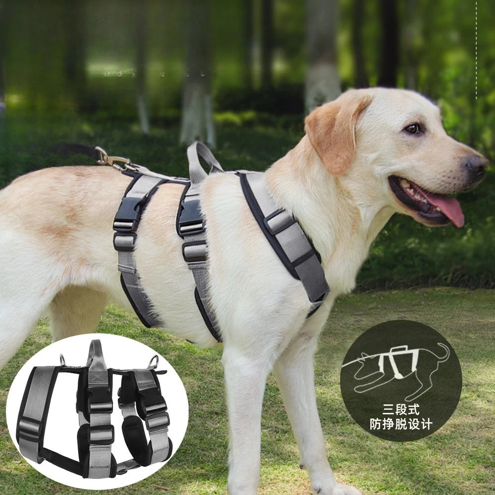 Harnais et Laisse Anti-Évasion Robuste pour Chien - Idéal Corgi