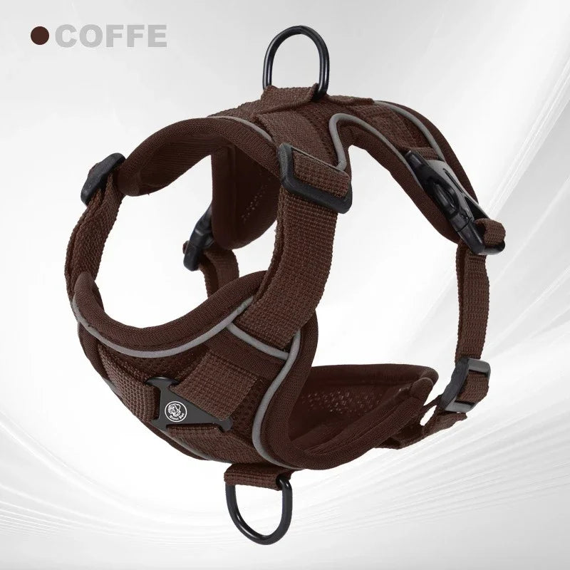 Ensemble Harnais et Laisse Sans Traction pour Petit Chien et Chat