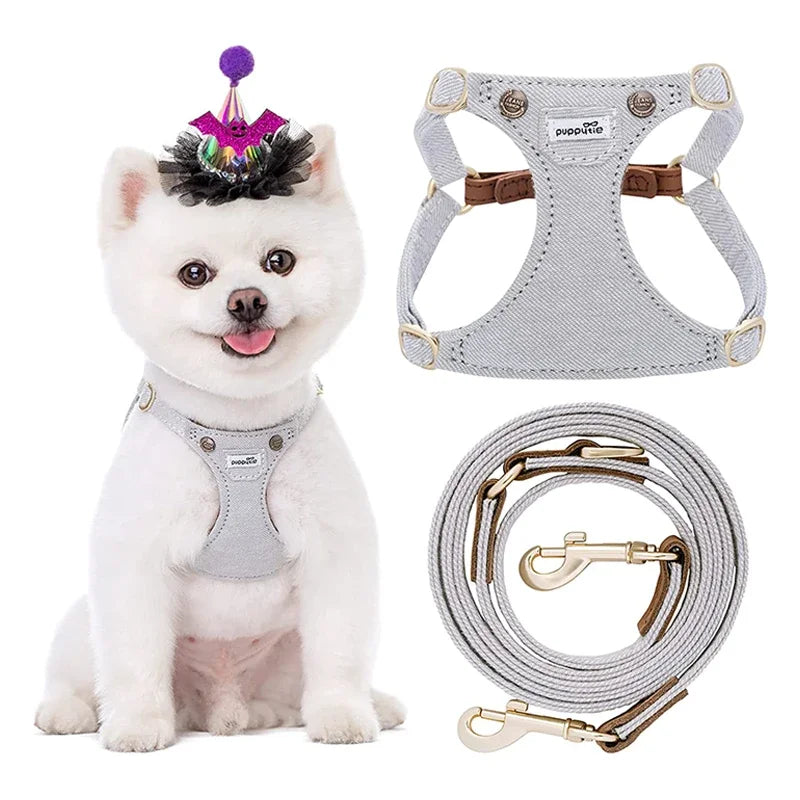 Ensemble Harnais et Laisse Doux Rembourré pour Chiot