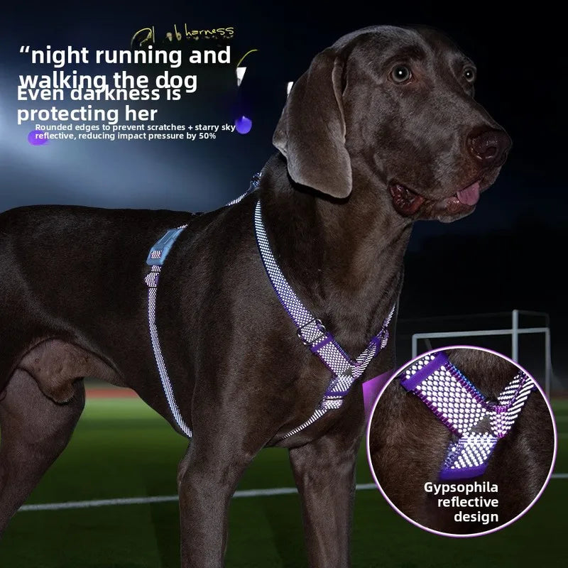 Harnais Anti-Traction Nid d'Abeille pour Chien - Respirant et Sécurisé