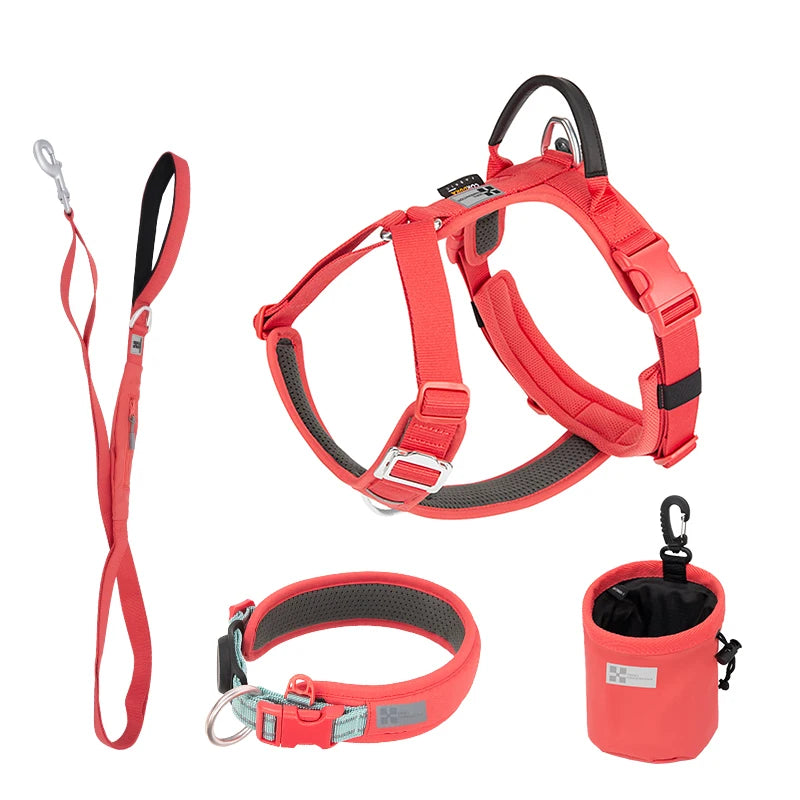 Ensemble Harnais et Laisse Anti-Traction pour Grand Chien