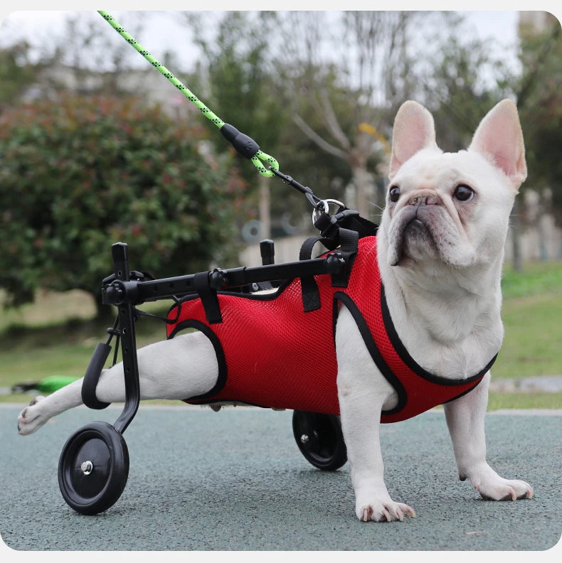 Harnais de Soutien Mobilité Réduite pour Chien - Rééducation