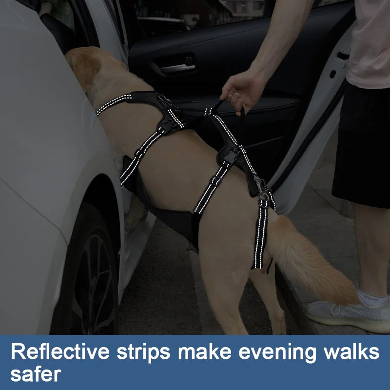 Harnais de Soutien Dorsal Réglable pour Chien - Post-Chirurgical