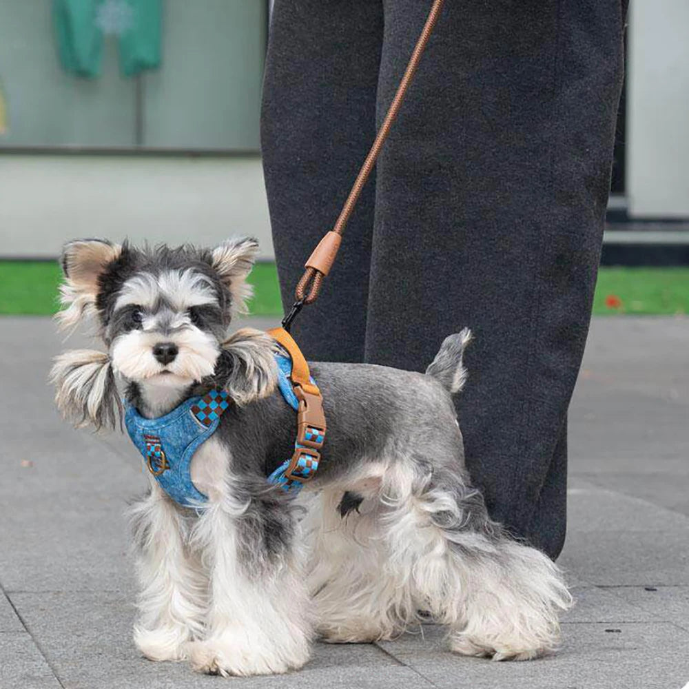 Harnais en Denim pour Petit et Moyen Chien - Coton Respirant