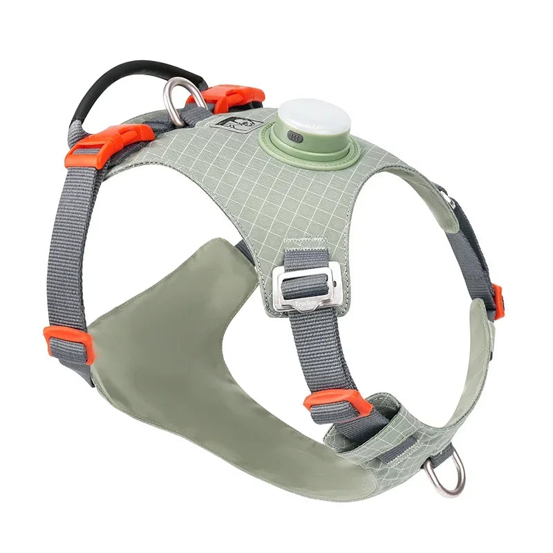 Harnais LED avec Support de Suivi - 19 Modes, Chien et Chat