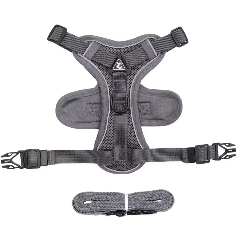 Ensemble Harnais et Laisse Anti-Traction pour Petit Chien et Chat - Réfléchissant