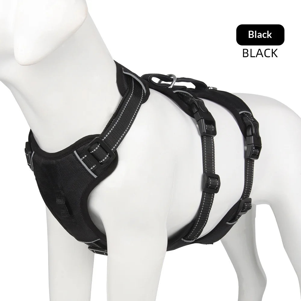 Harnais Anti-Évasion Grand Chien - Laisse Oxford Incluse