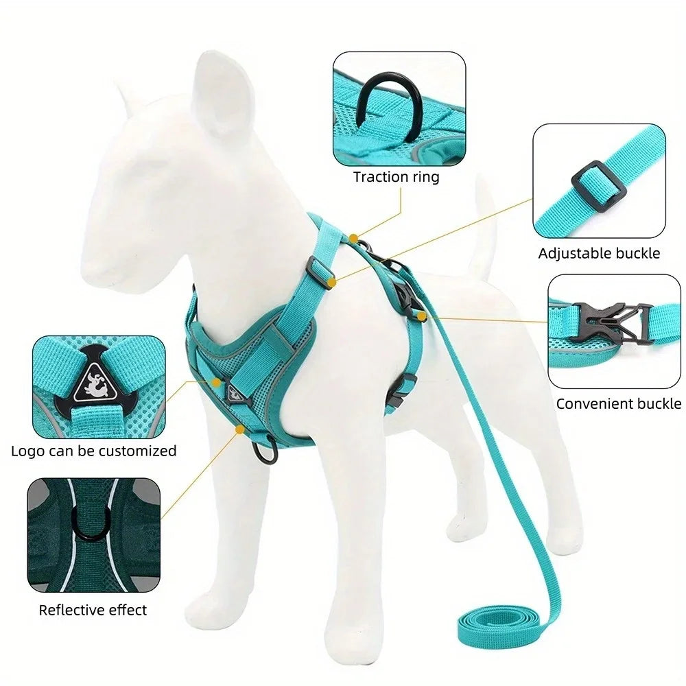 Ensemble Harnais et Laisse Anti-Traction pour Petit Chien et Chat - Réfléchissant