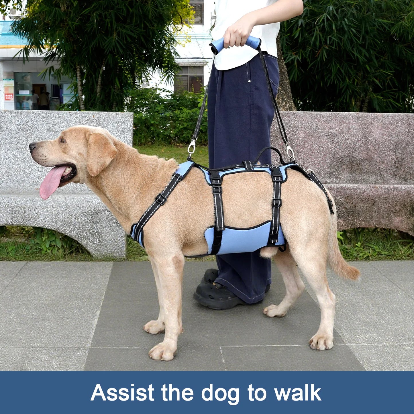 Harnais de Levage COODEO pour Chien - Rééducation, Sangles Réglables
