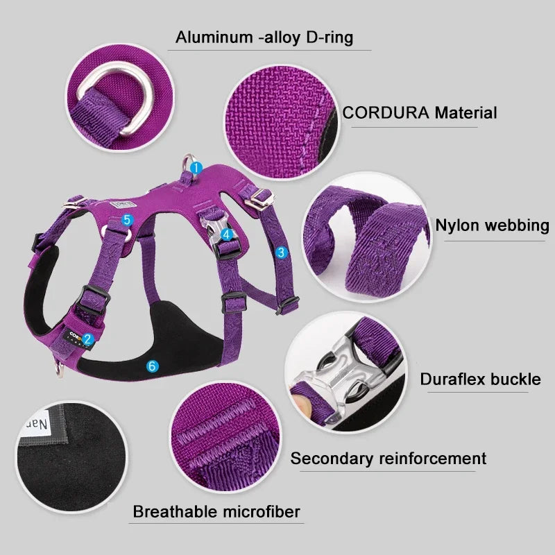 Harnais Nylon Double-H pour Chien - Léger et Imperméable