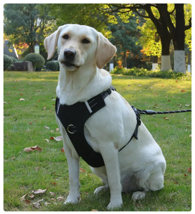 Harnais Type Veste pour Chien - Toutes Races, Résistant aux Chocs