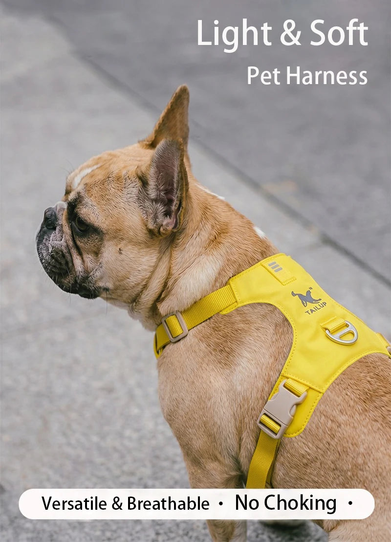 Harnais et Laisse Légers Anti-Traction pour Chien - Toutes Tailles