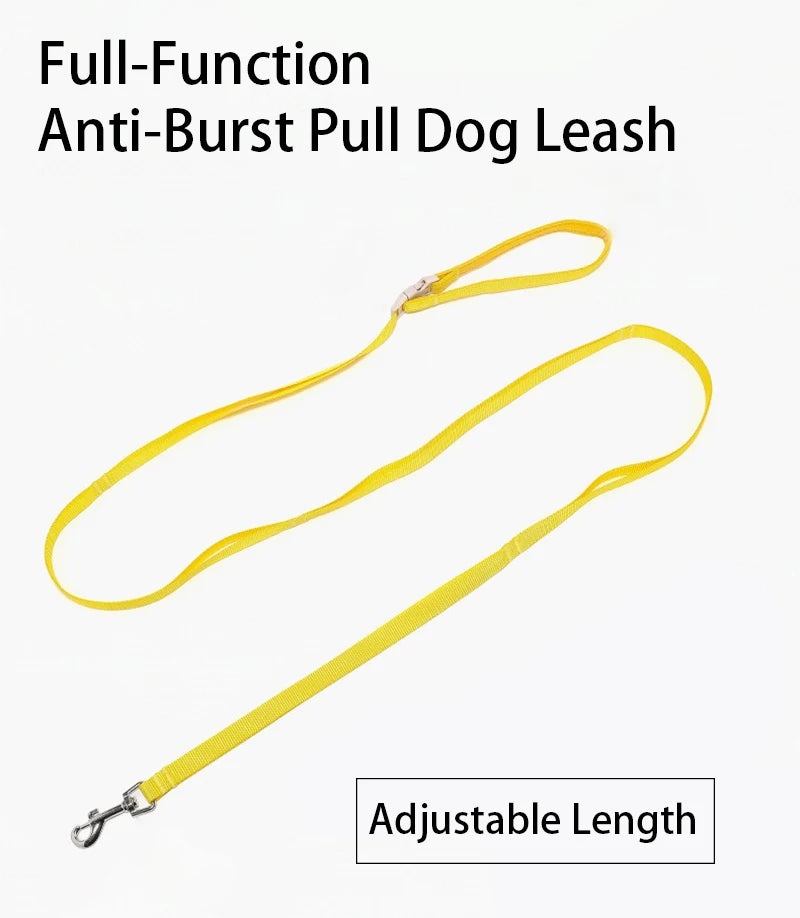 Harnais et Laisse Légers Anti-Traction pour Chien - Toutes Tailles