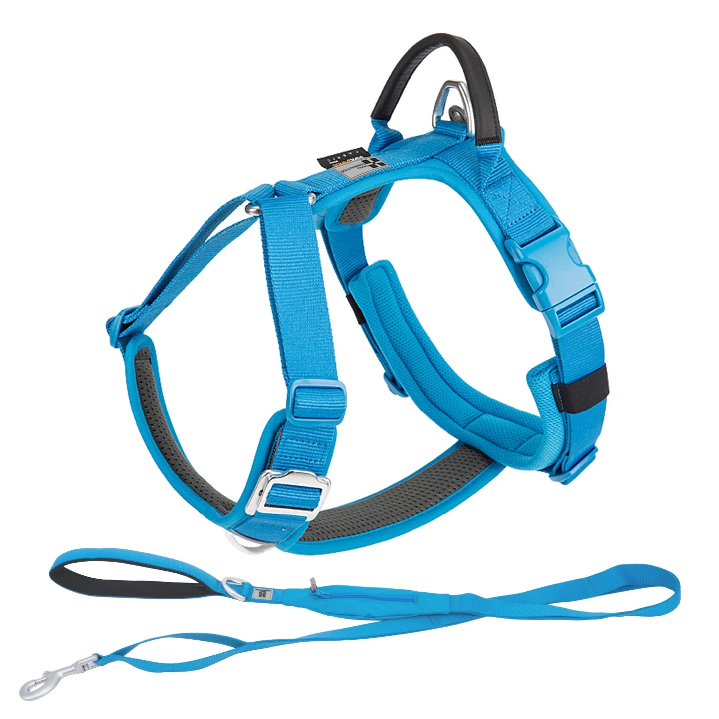 Ensemble Harnais et Laisse Anti-Traction pour Grand Chien