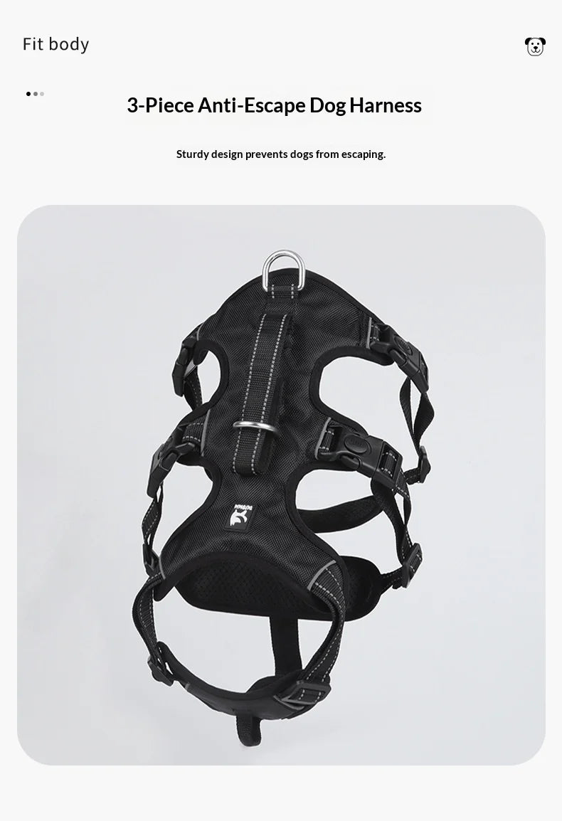 Harnais Anti-Évasion Grand Chien - Laisse Oxford Incluse