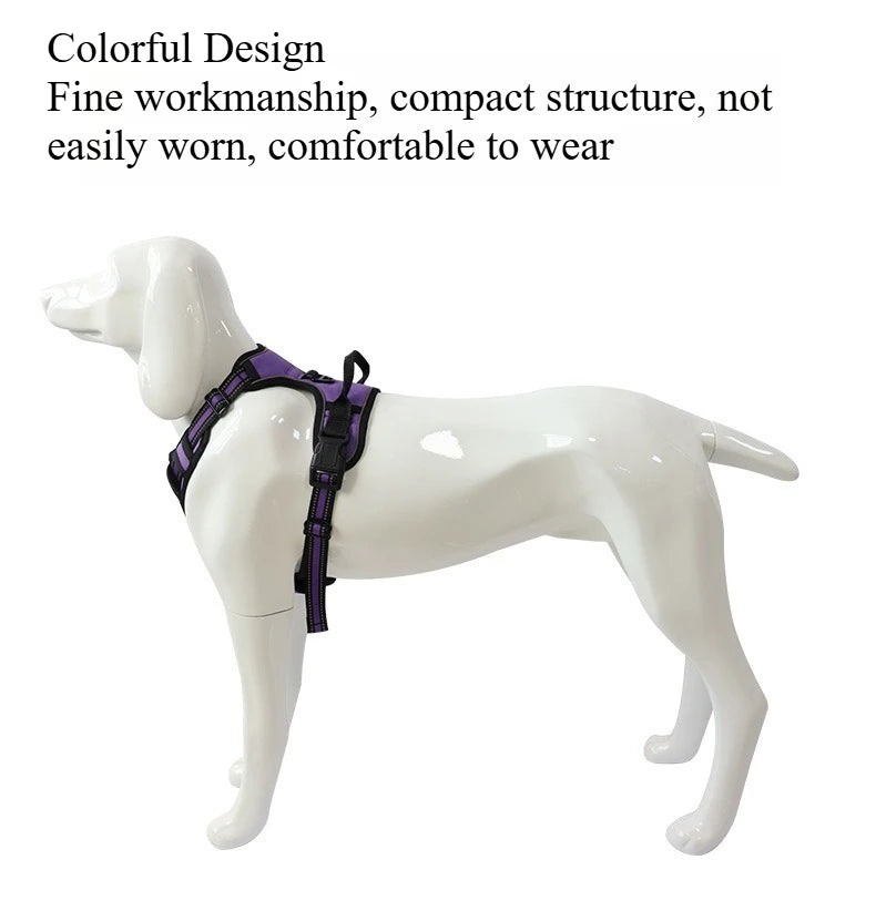 Ensemble Collier, Harnais et Laisse Réfléchissants pour Grand Chien