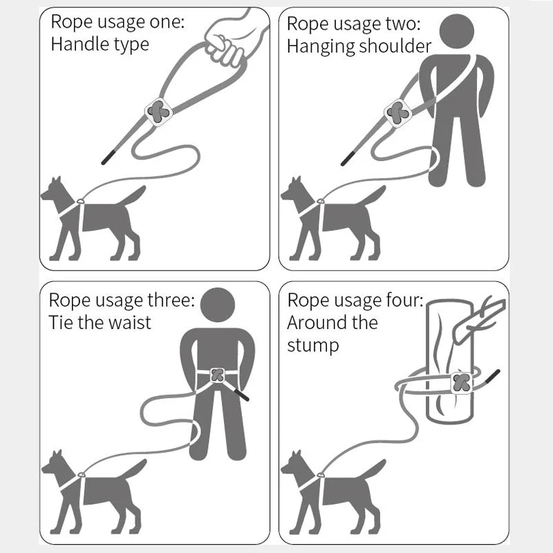 Ensemble Harnais et Laisse Réglable pour Chat et Petit Chien