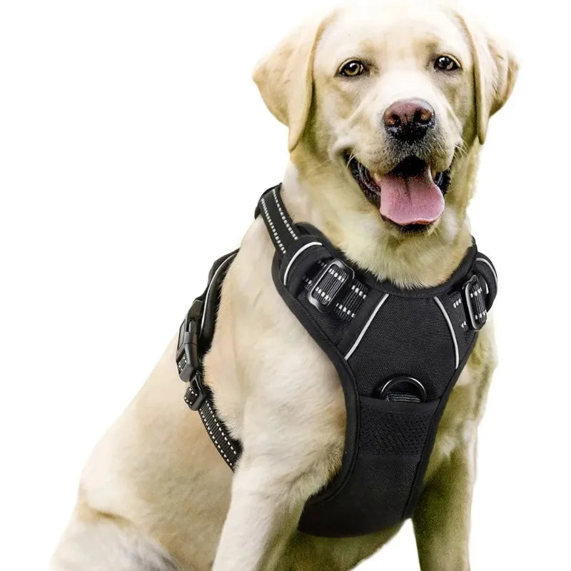 Harnais et Laisse Corde Nylon pour Grand Chien