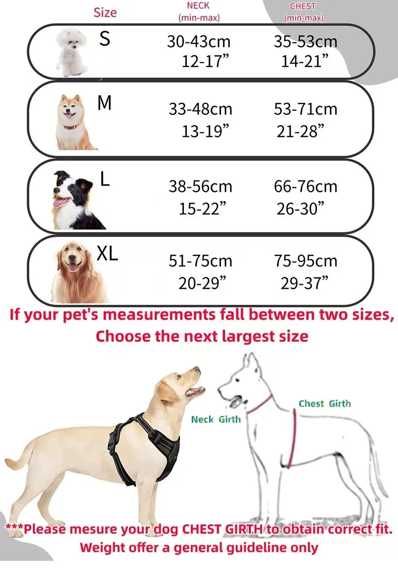 Ensemble Harnais et Laisse Réfléchissants pour Grand Chien