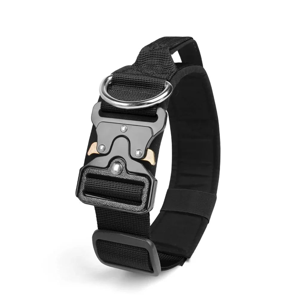 Ensemble Harnais et Accessoires Flexibles pour Bouledogue Français